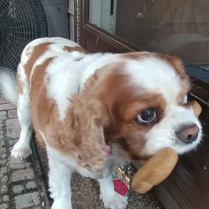 Meet your Posher, Tom